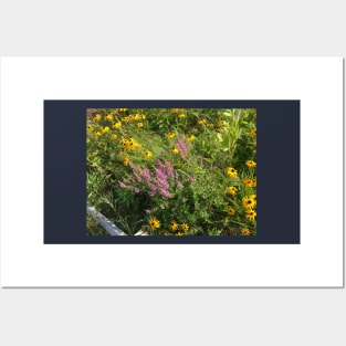 Fireweed and Black Eyed Susans Posters and Art